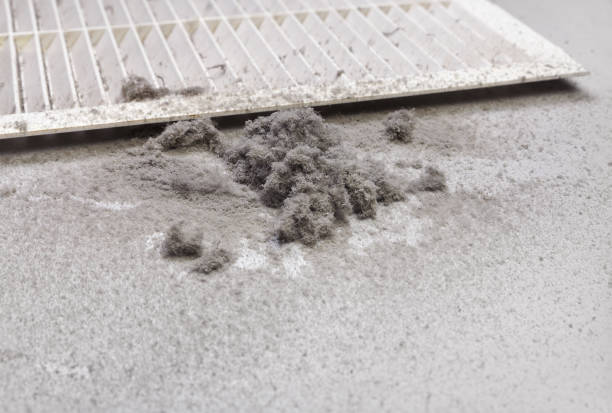 HVAC System Cleaning in Holly Hill, FL