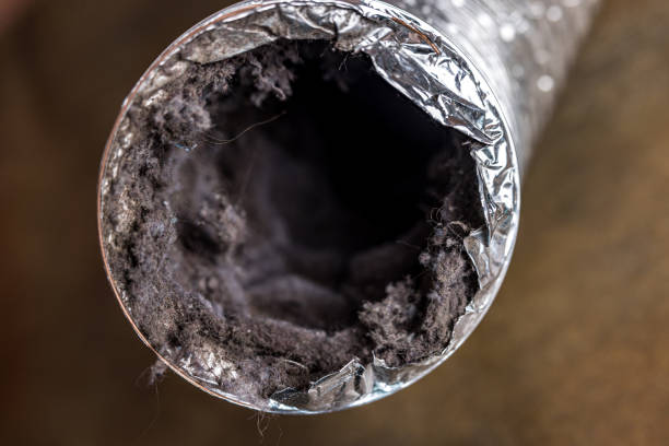  Holly Hill, FL Airduct Cleaning Pros