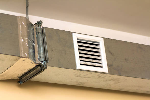 Best Professional Duct Cleaning Services  in Holly Hill, FL